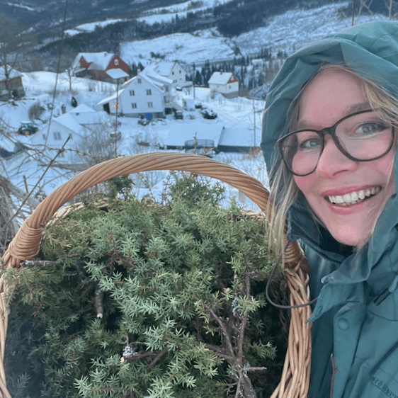 🐝 Adventsmagi 🌟 sjekk vårt nye tilbod: Kalendergåvepakka! - Vossabia