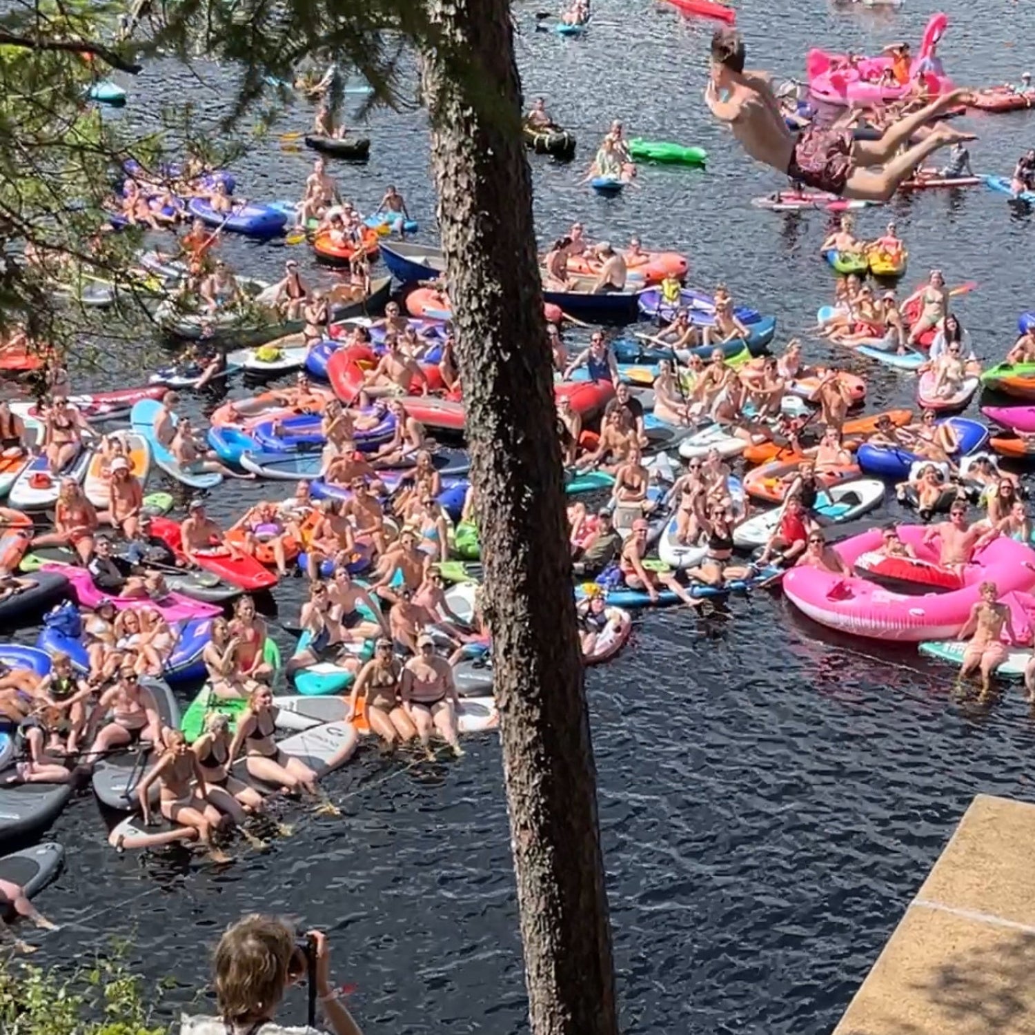 Bli med eitt døgn på innsida: Roser, kalvar og klippeshow! 🌸🐮⛰️ - Vossabia