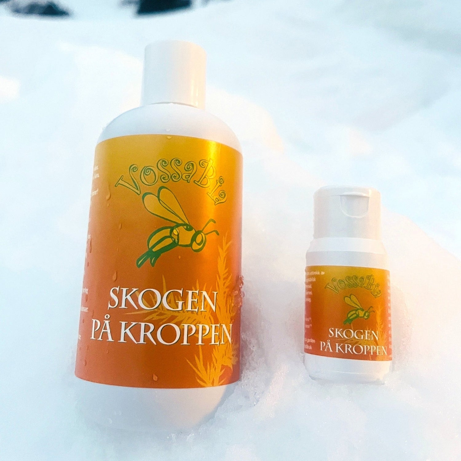 ⛷ Eit eventyr i vilt vintervær! ❄️ - Vossabia