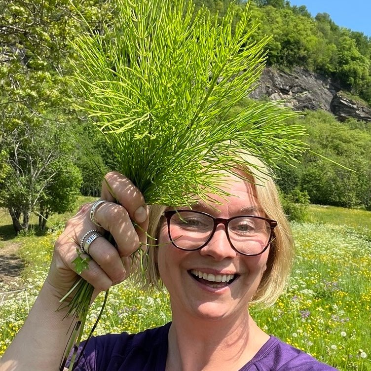 Kjerringrokk – min favorittplante til håret!! - Vossabia