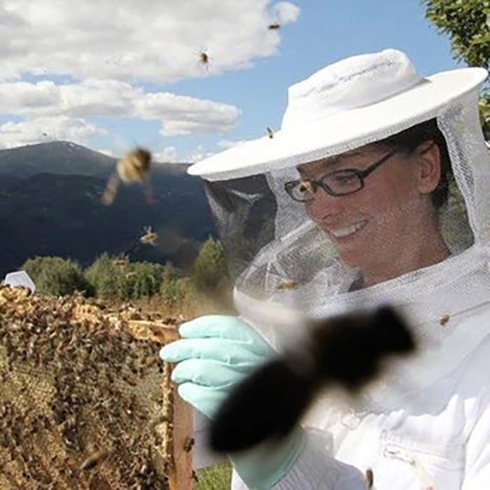 VÅRGLEDE og LANGHELGSTILBOD! - Vossabia
