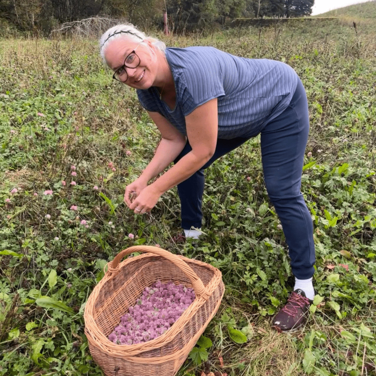 🌱 Viktig melding frå garden: Prisjustering frå 1. oktober - Vossabia