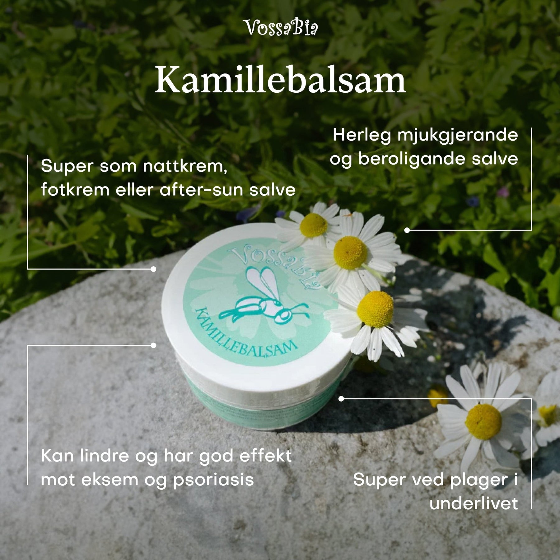 Kamillebalsam - Vossabia