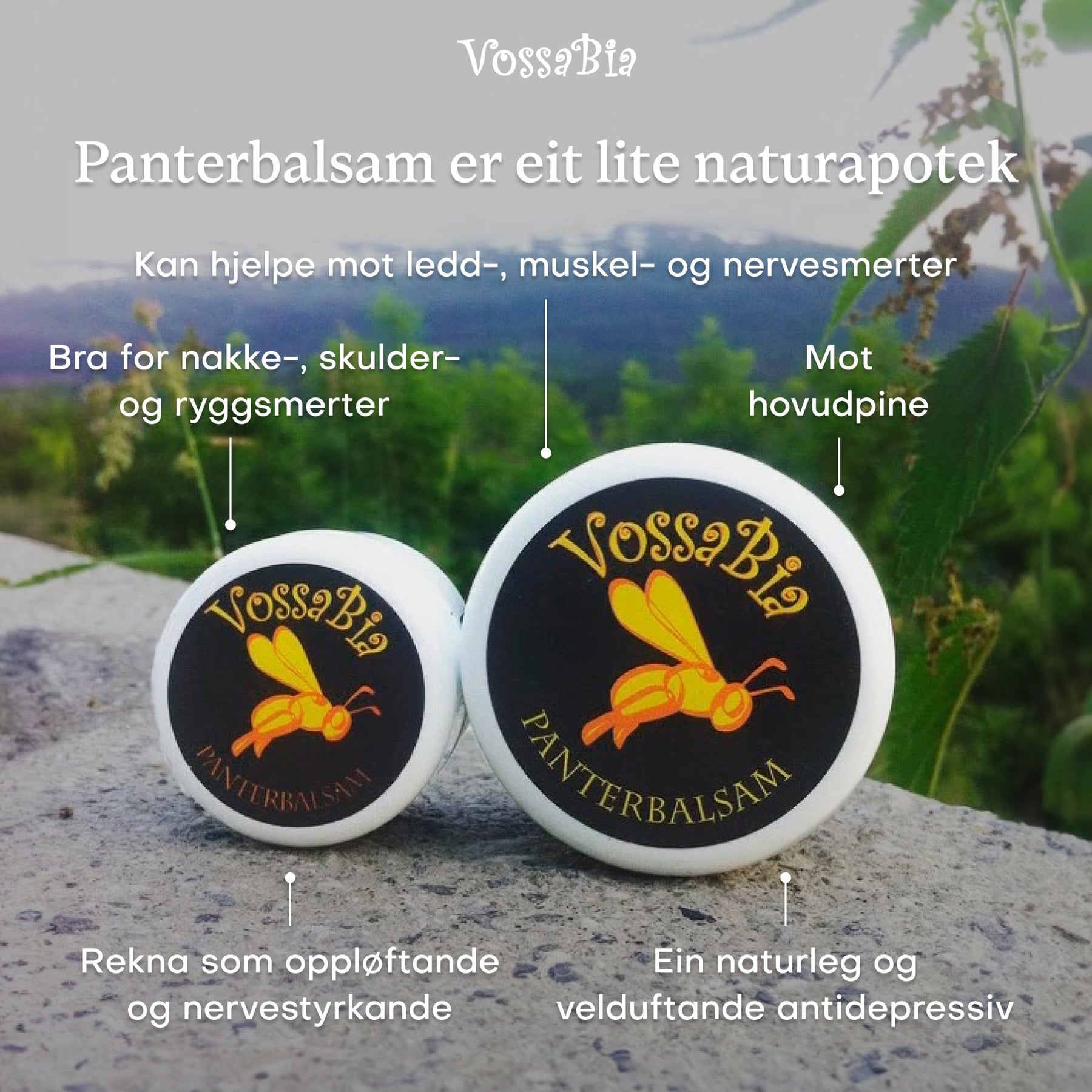 Panterbalsam - Vossabia