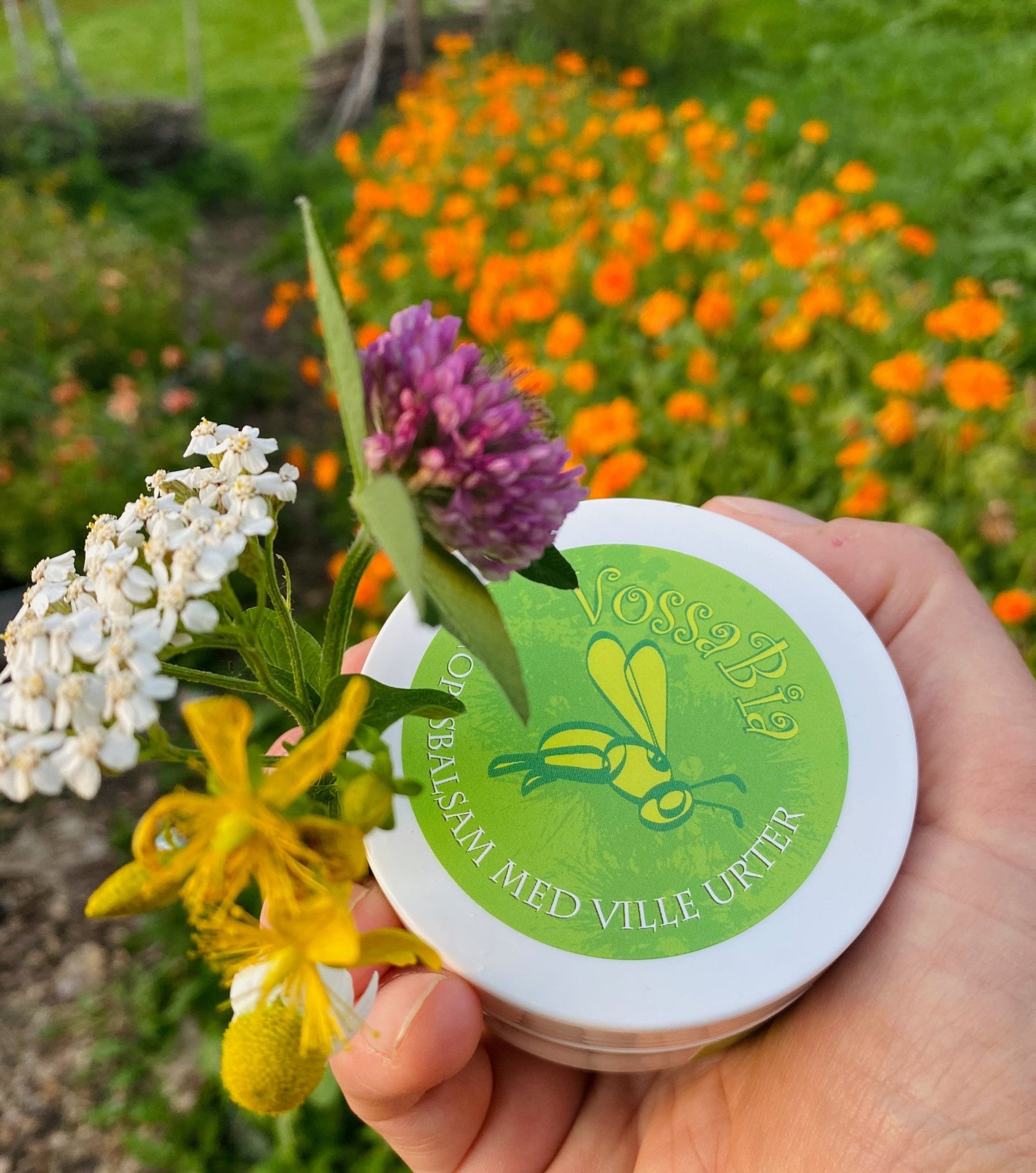 Kroppsbalsam med ville urter - Vossabia