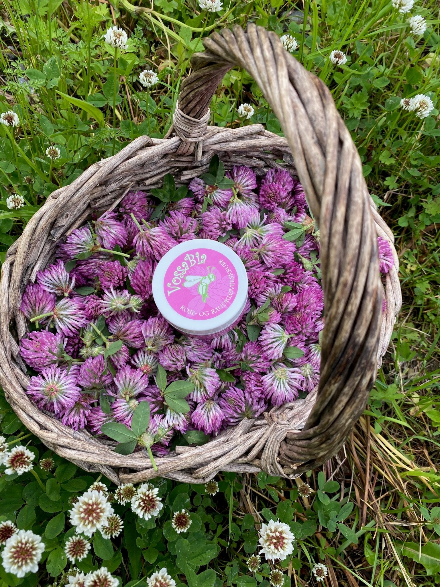 Rose - og raudkløverskrubb til ansikt - Vossabia