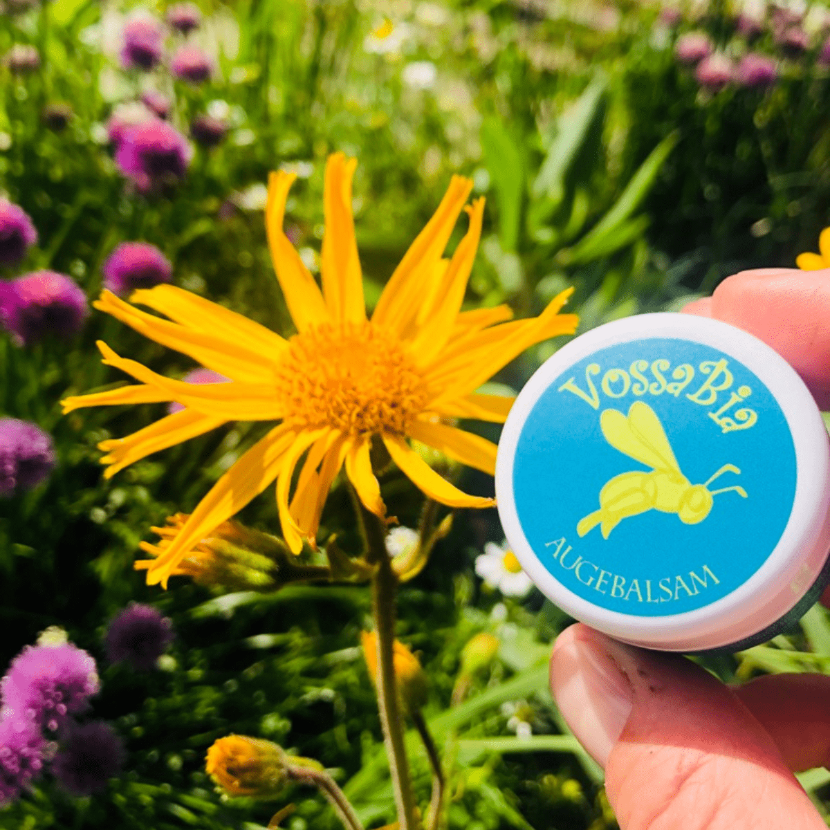 18 years of fresh eyes – The eye balm that saved me on a camping trip (again!) 🌟 - Vossabia