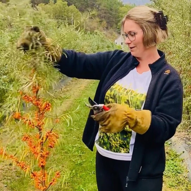 "The 30-year search for face cream is finally over!" - Vossabia