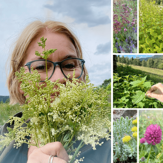 Autumn colds and flu treated by nature! - Vossabia
