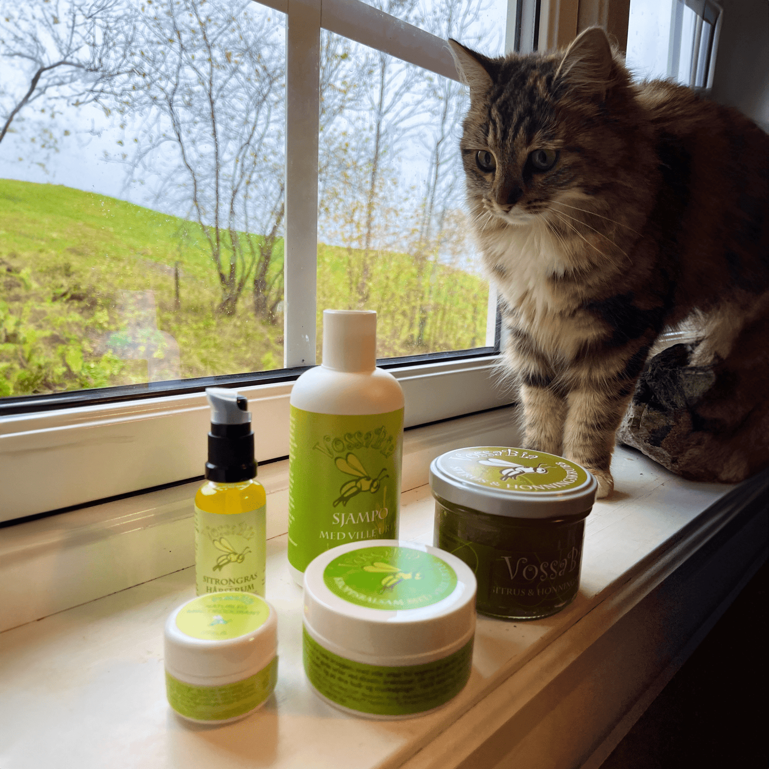 🍂 Autumn self-care guide: create your own home spa! 🛁 - Vossabia