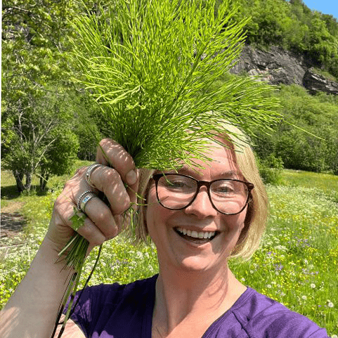 Ragweed - the secret to strong and shiny hair - Vossabia