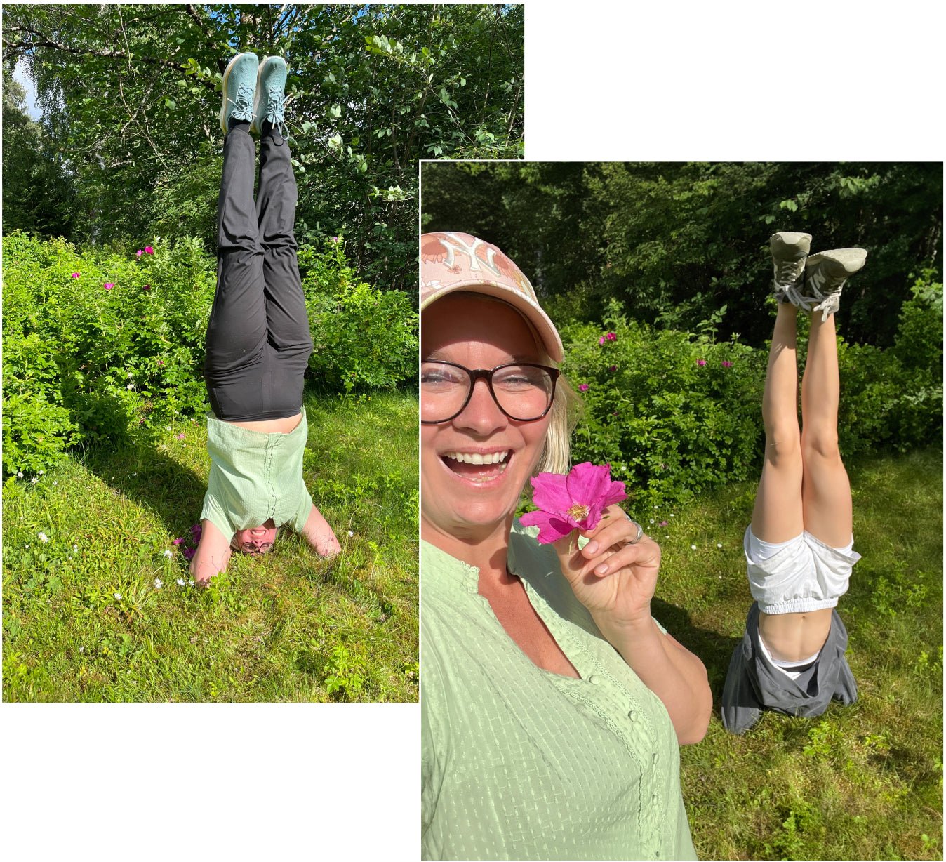 We are standing on our heads in the meadows to bring in this year's plants! - Vossabia