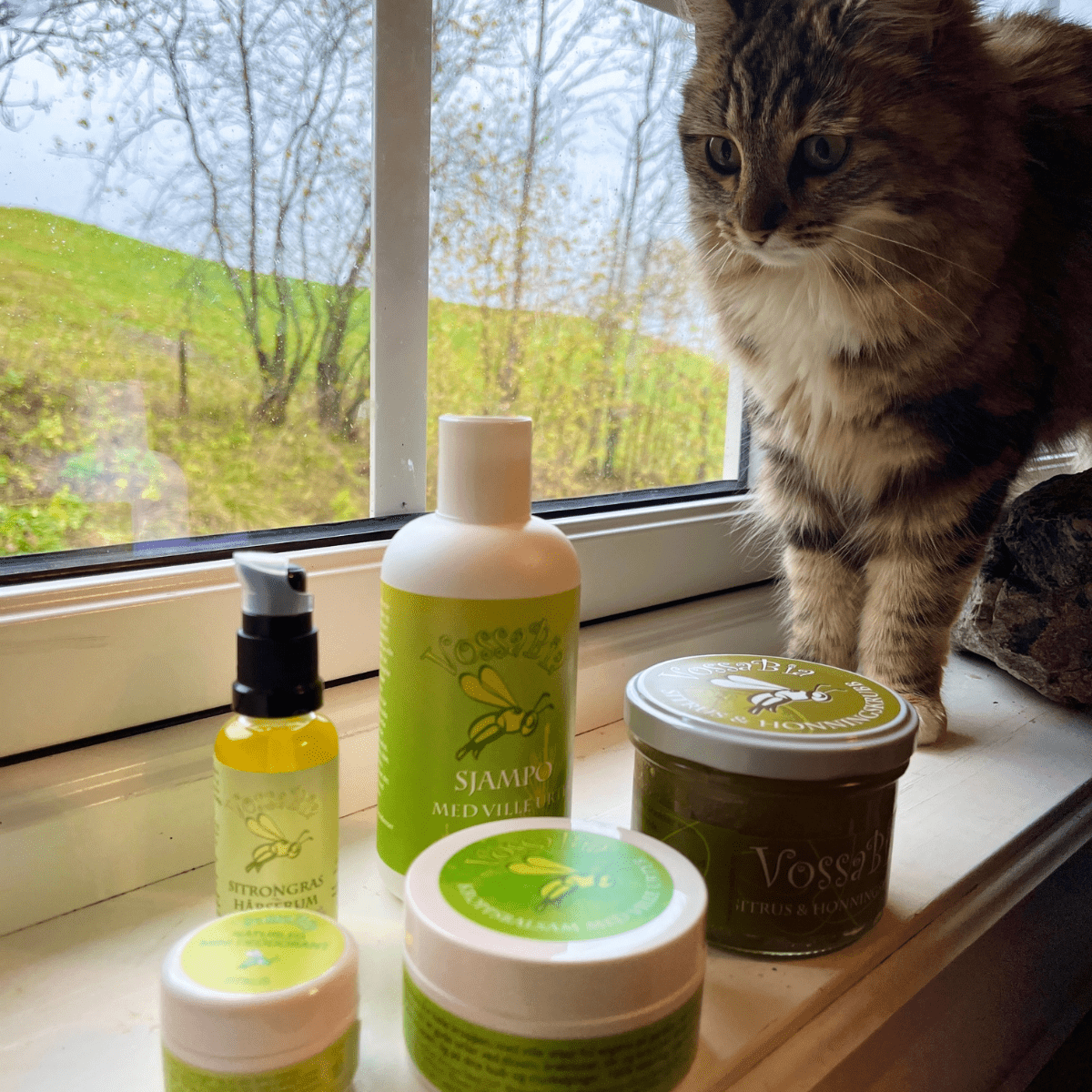 🍂 Relax your shoulders: home spa for rainy autumn evenings! - Vossabia