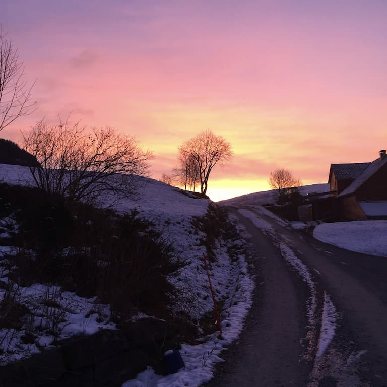 🐝 Need some rest now? My Solsnu ritual for sleep and reflection 🌙