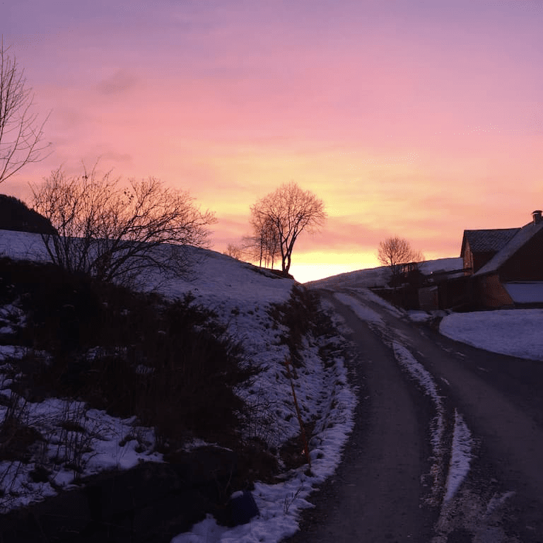 🐝 Do you need to rest now? My Solsnu ritual for sleep and reflection 🌙 - Vossabia