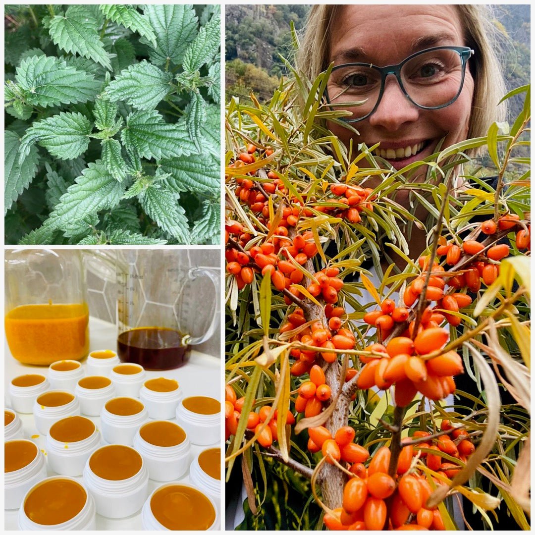 Sea buckthorn - and nettle for the face - Vossabia