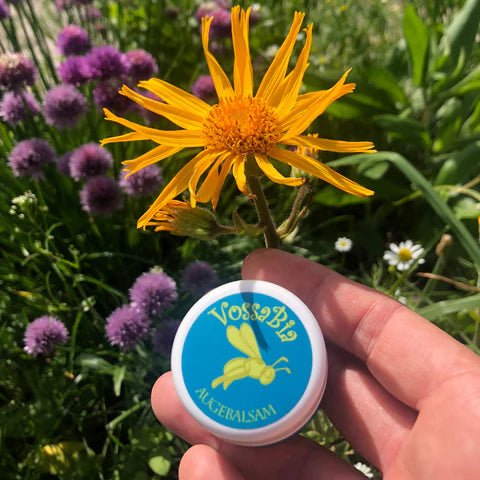 ¡Oh, el maravilloso BÁLSAMO PARA OJOS!💙🤩 - Vossabia