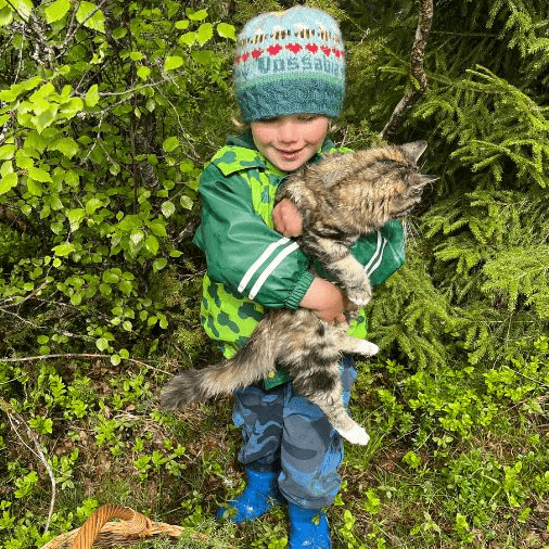 Des vacances au quotidien à toute vitesse ! 💨 - Vossabia