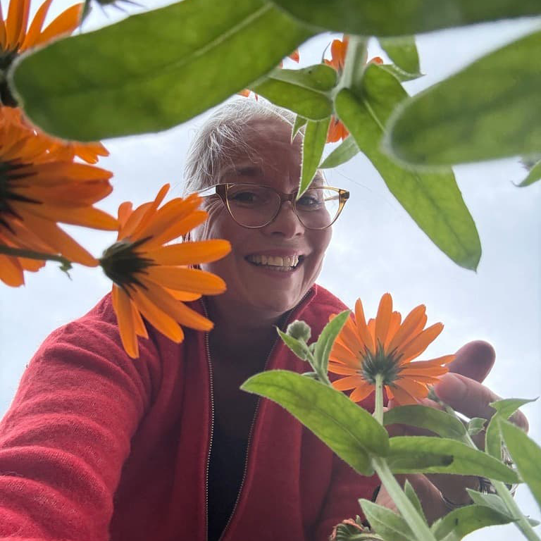 🐝 Kviser? Rosacea?