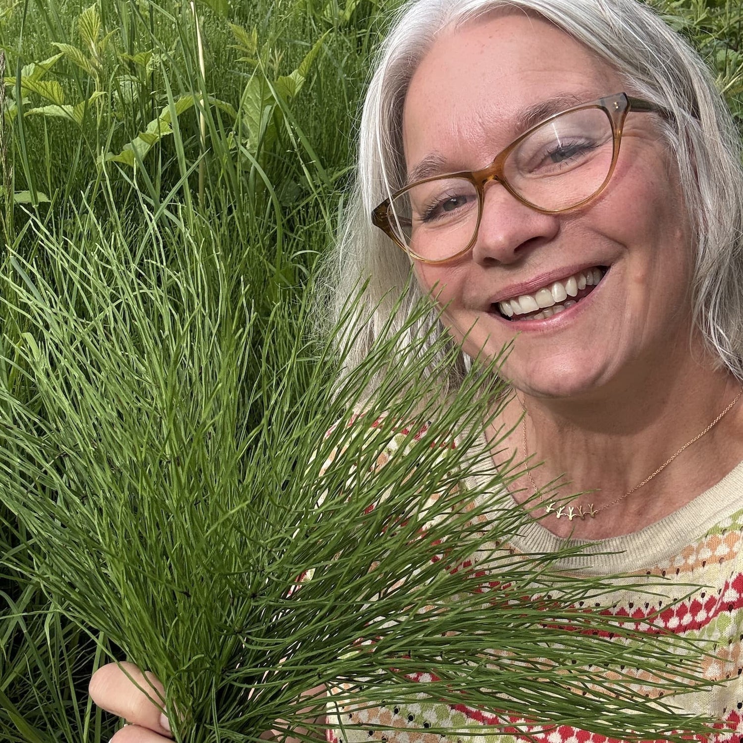 Den vesle planten som gjer stor forskjell 💚 - Vossabia