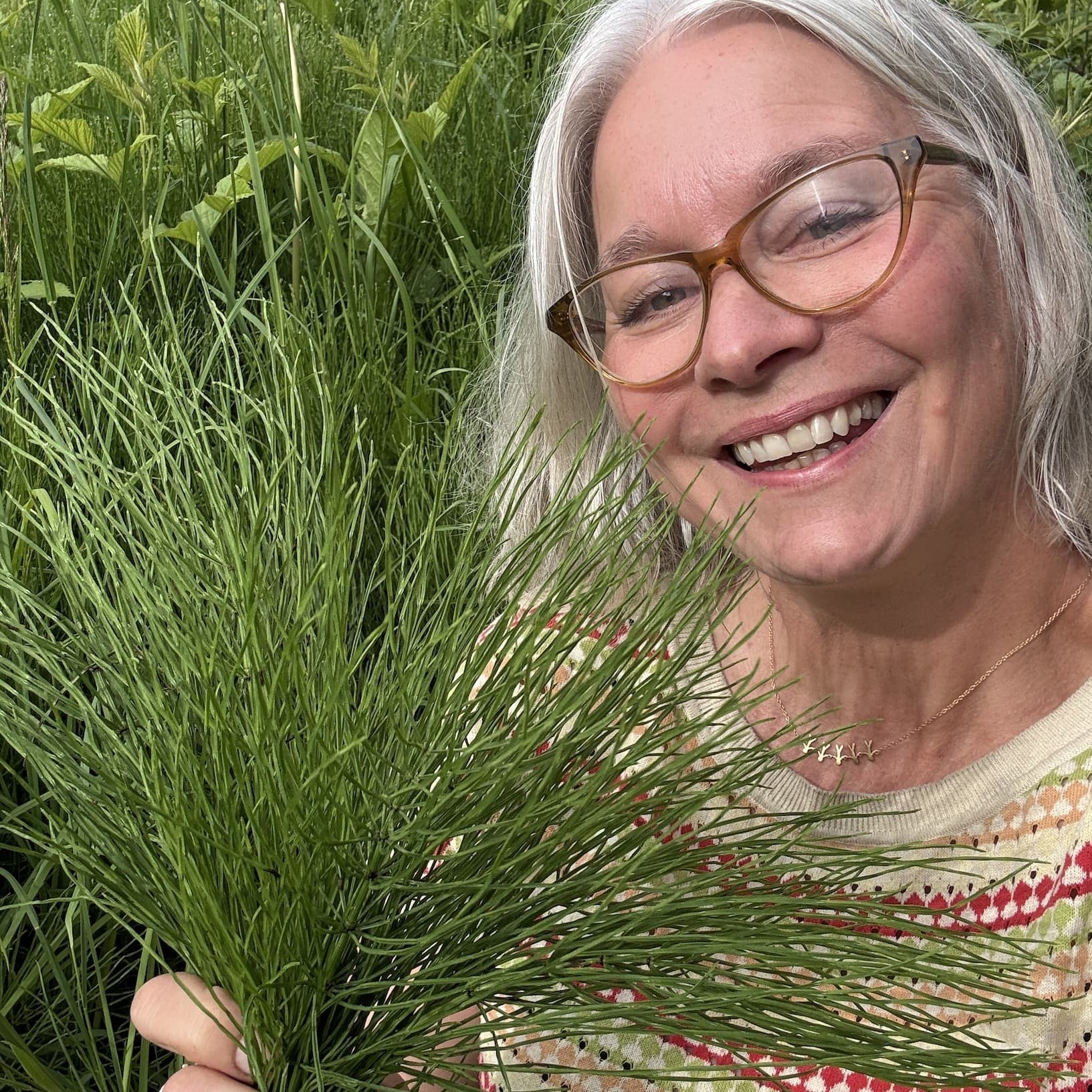 Den vesle planten som gjer stor forskjell 💚 - Vossabia