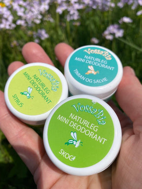 Humørdeoane 💫 – 4 favorittar i mini - Vossabia