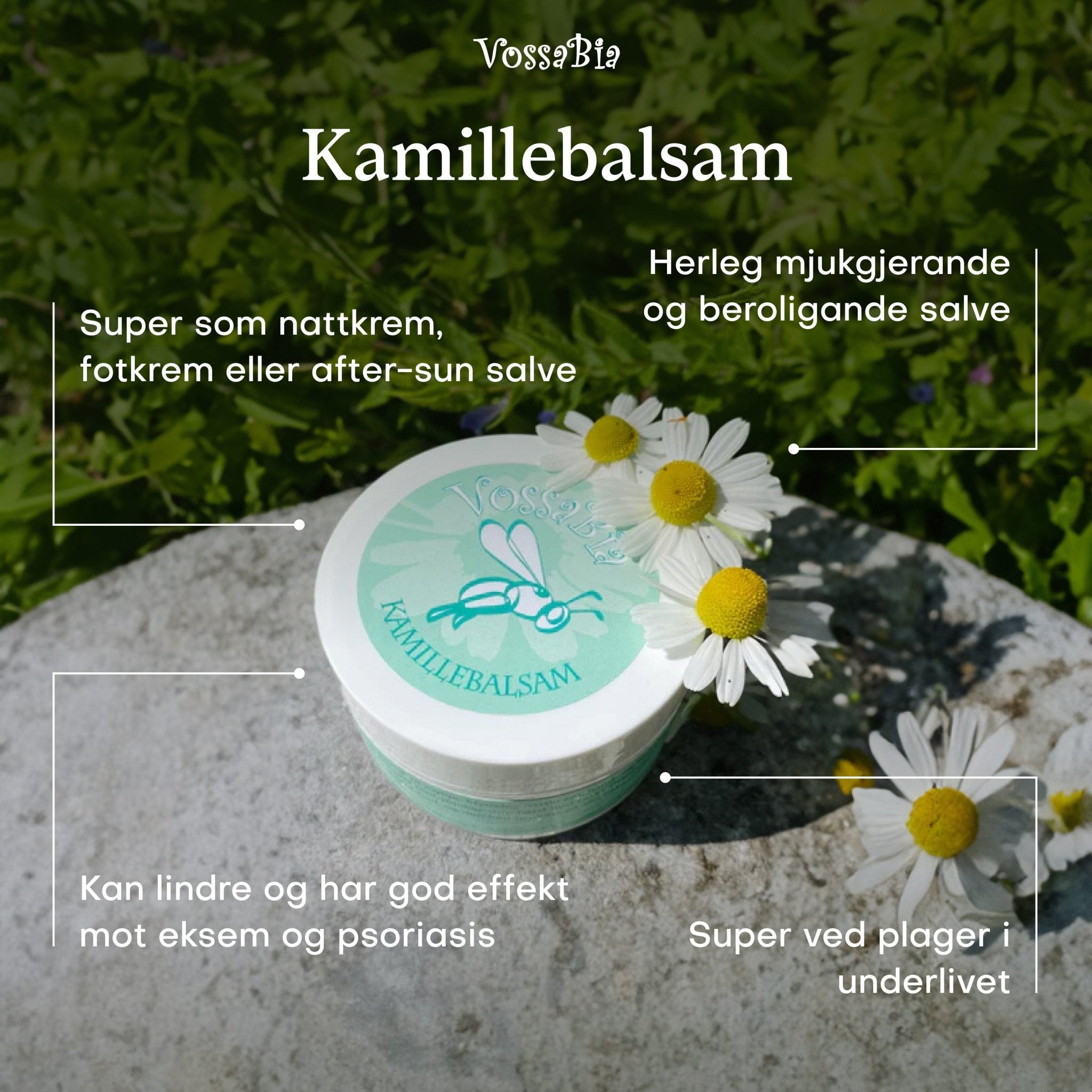 Kamillebalsam - Vossabia