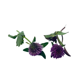 Kroppsbalsam med ville urter - Vossabia