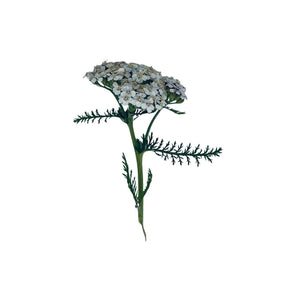 Shampoo with wild herbs - Vossabia