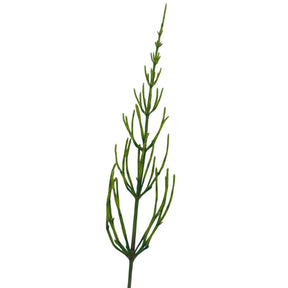 Shampoo with wild herbs - Vossabia