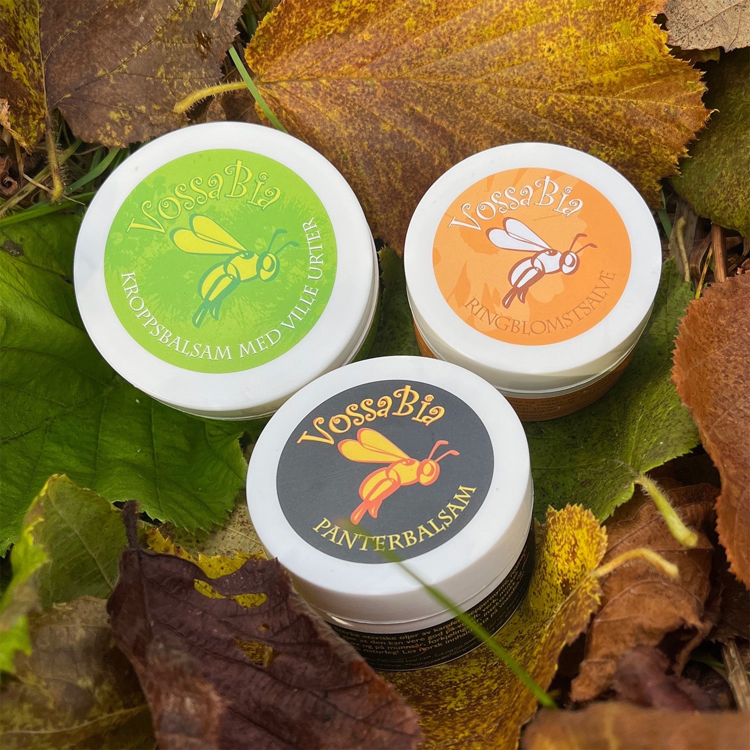 Stjernepakken 🏆🌟 - Vossabia