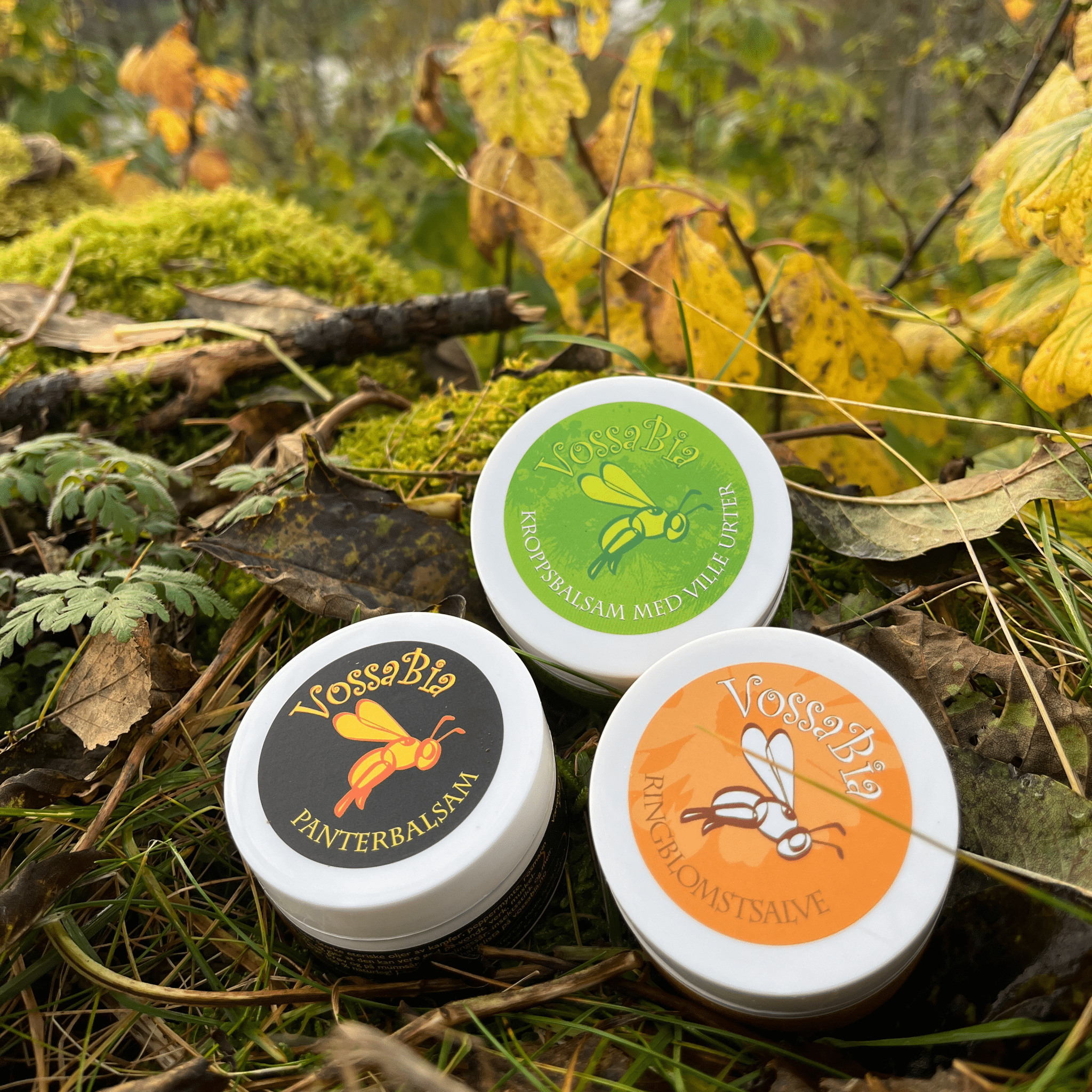 Stjernepakken 🏆🌟 - Vossabia