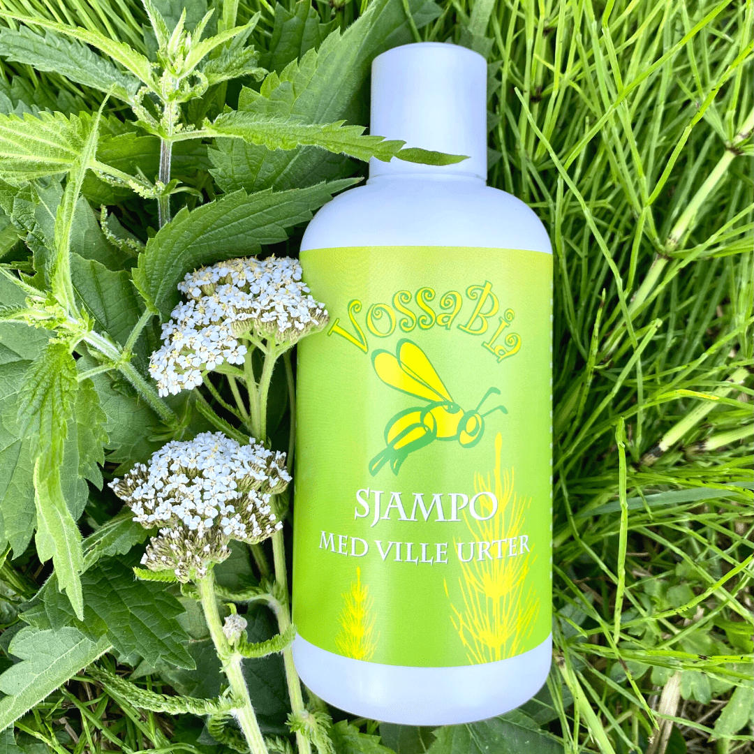 Peak season for shampoo's wild herbs🌱🌿☀️ - Vossabia