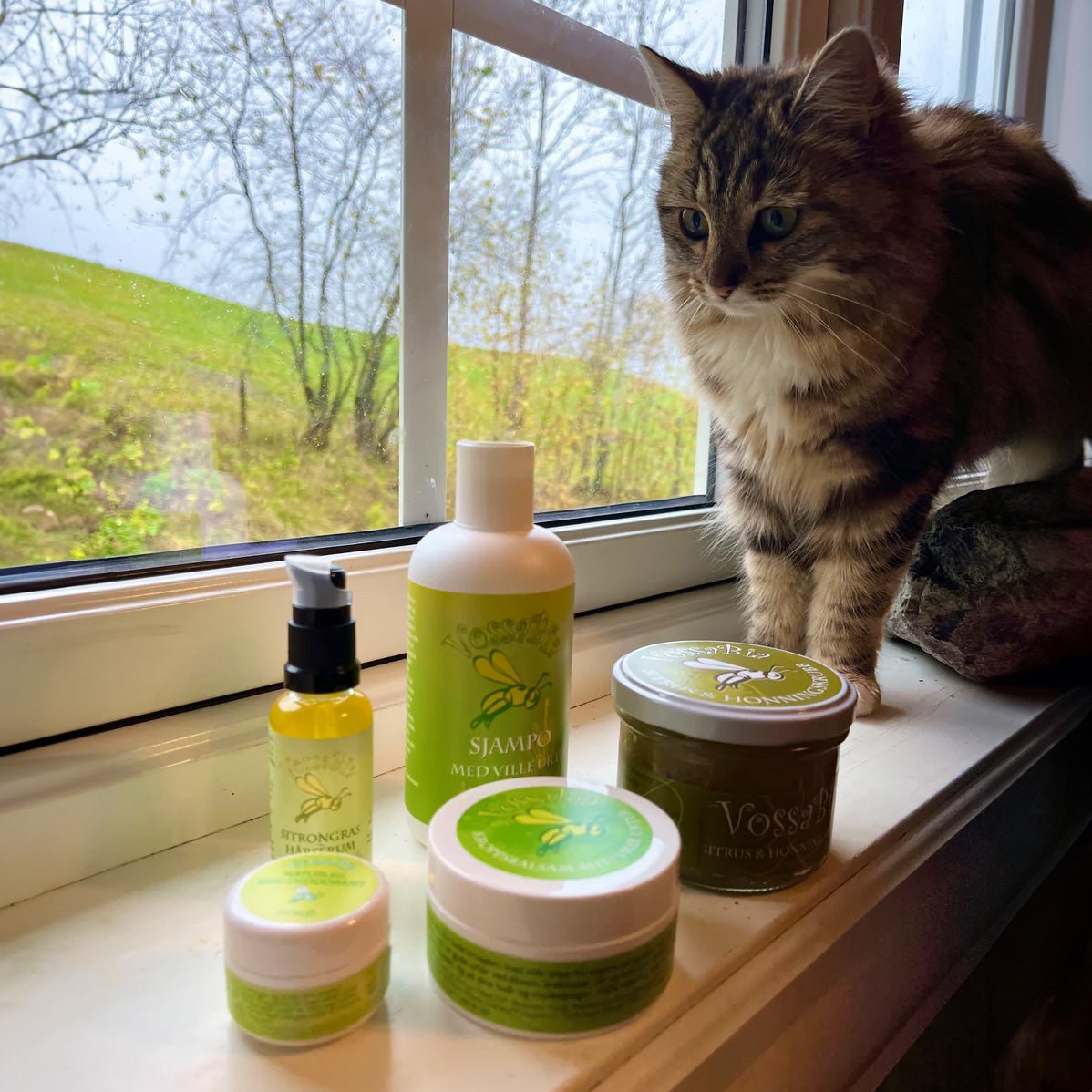 Renate's VIP HOME PACKAGE 💚🌱🐝 - 15%! 🤩 - Vossabia