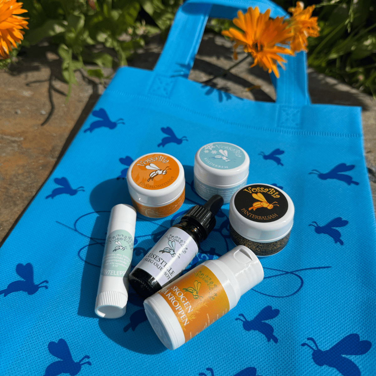 School and kindergarten kit - Vossabia