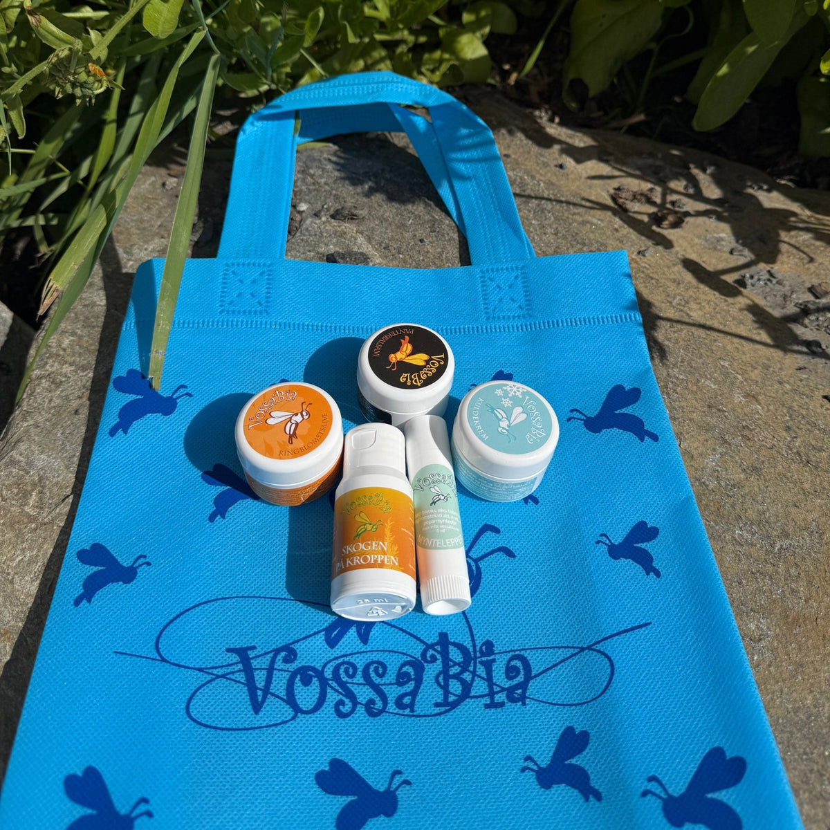 School and kindergarten kit - Vossabia