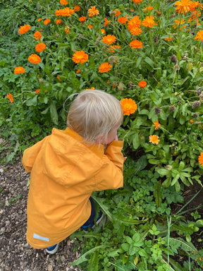 Calendula Balm
