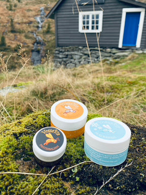 Family 🍁autumn and ❄️winter package - 15%! 🐝🌼
