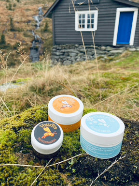 Family 🍁autumn - and ❄️winter package - 15%! 🐝🌼 - Vossabia