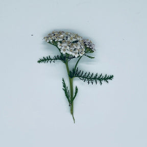 Shampoo with wild herbs - Vossabia