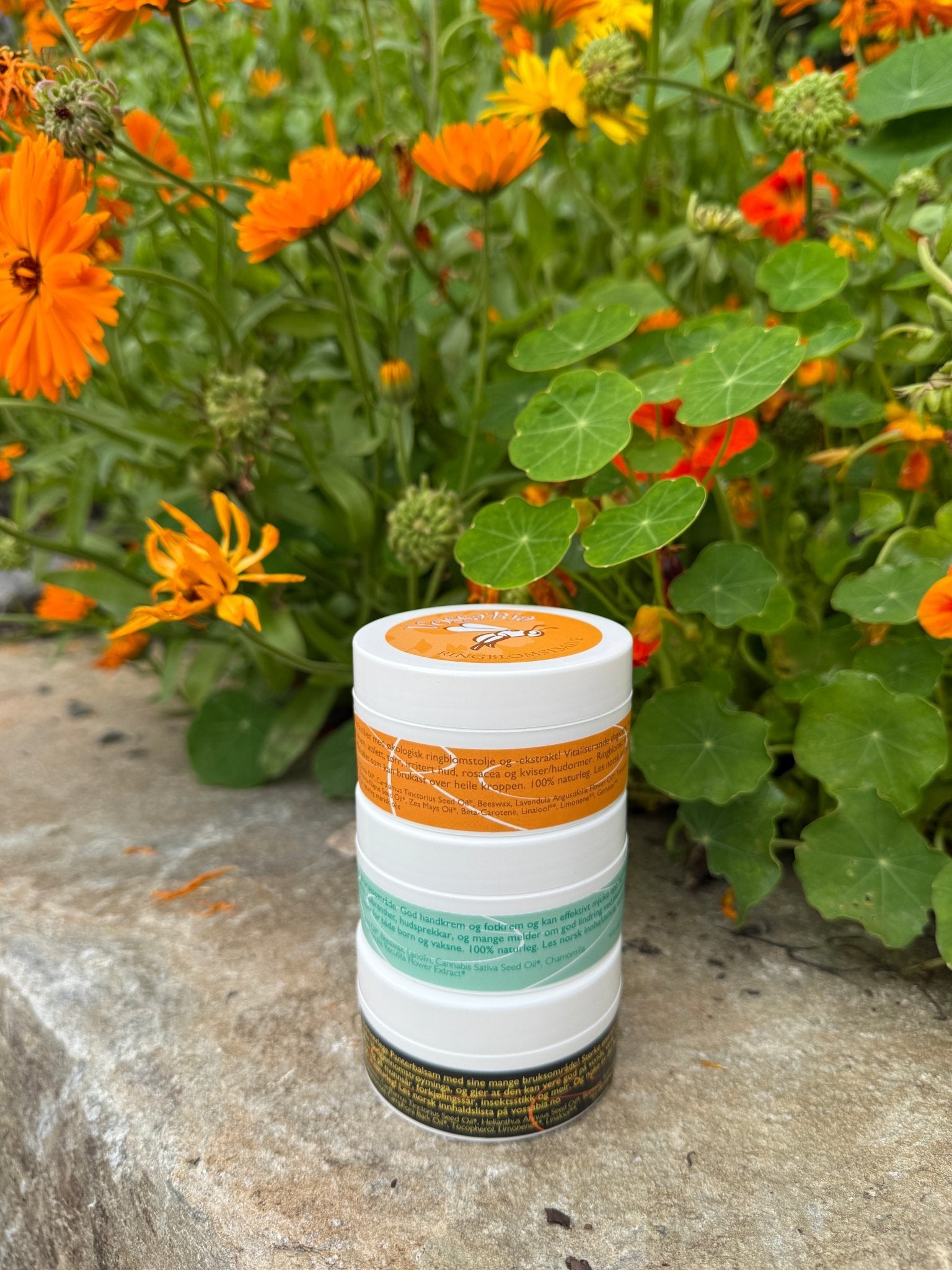 Los maxi favoritos de Emil - Vossabia