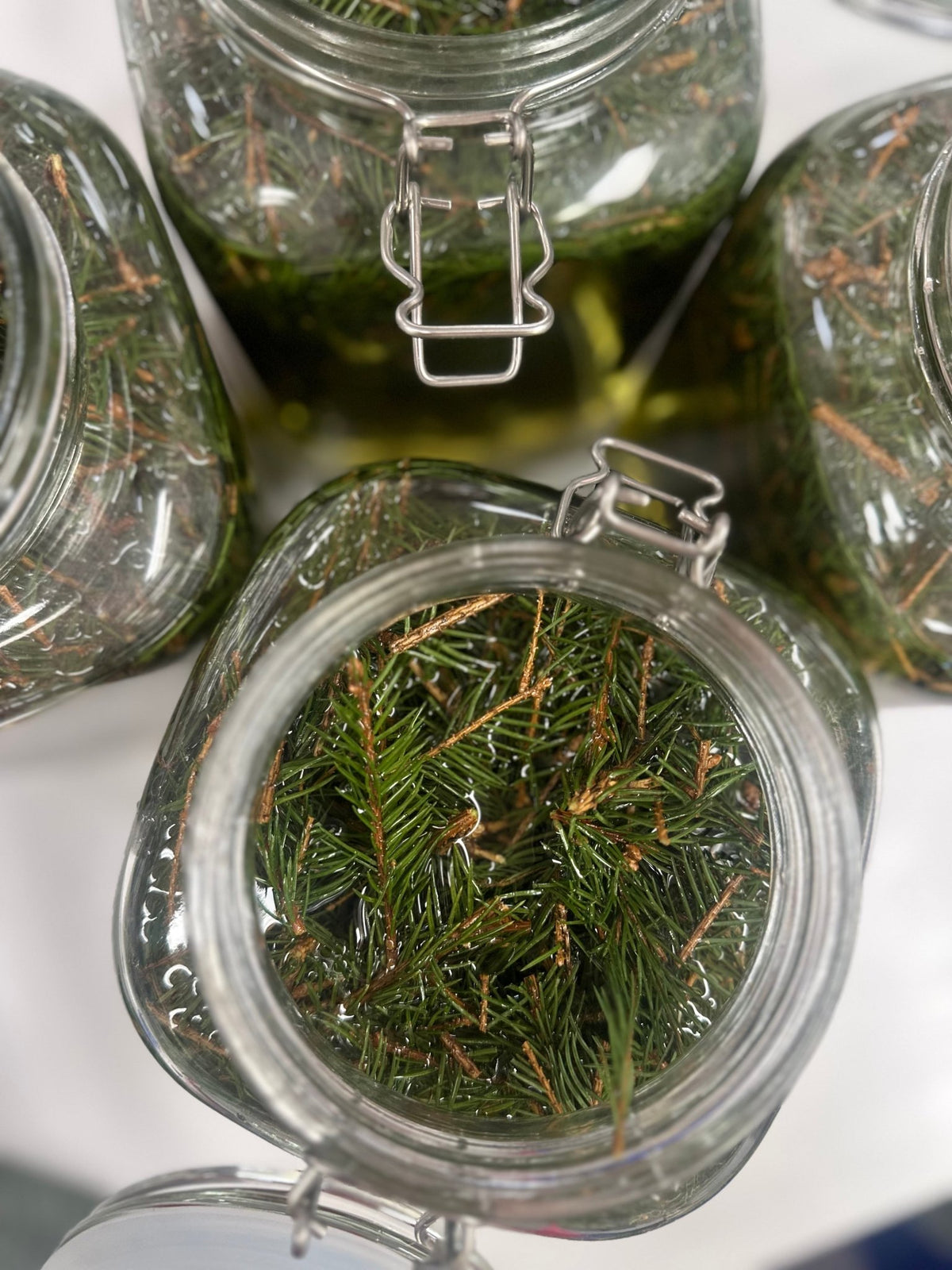 Aceite de abeto🌲 - Vossabia