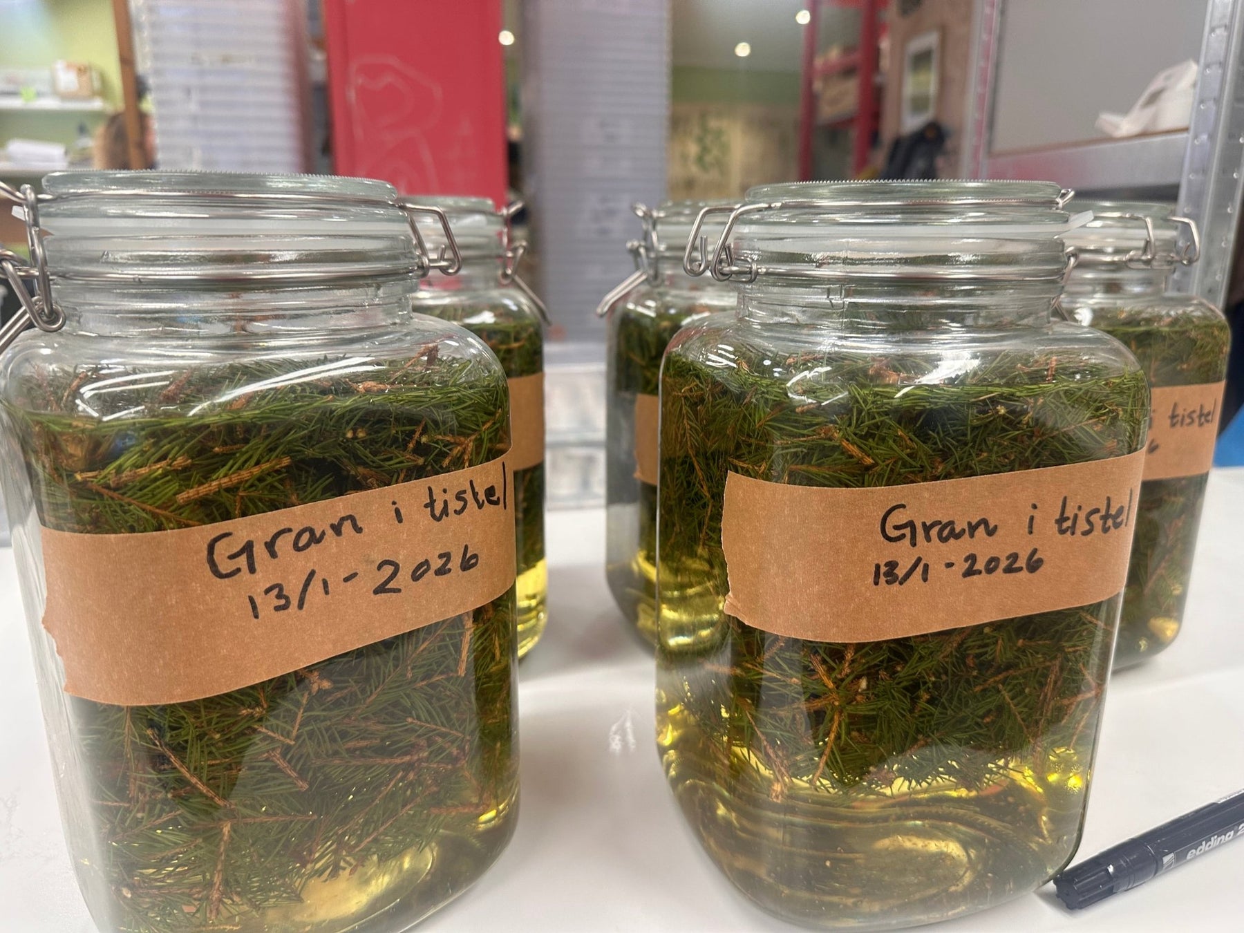 Aceite de abeto🌲 - Vossabia