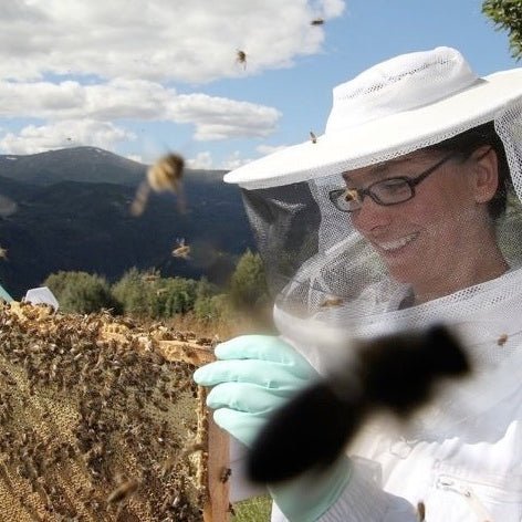 Vossabian vuosipäiväjuhlat 🐝🎉 - Vossabia